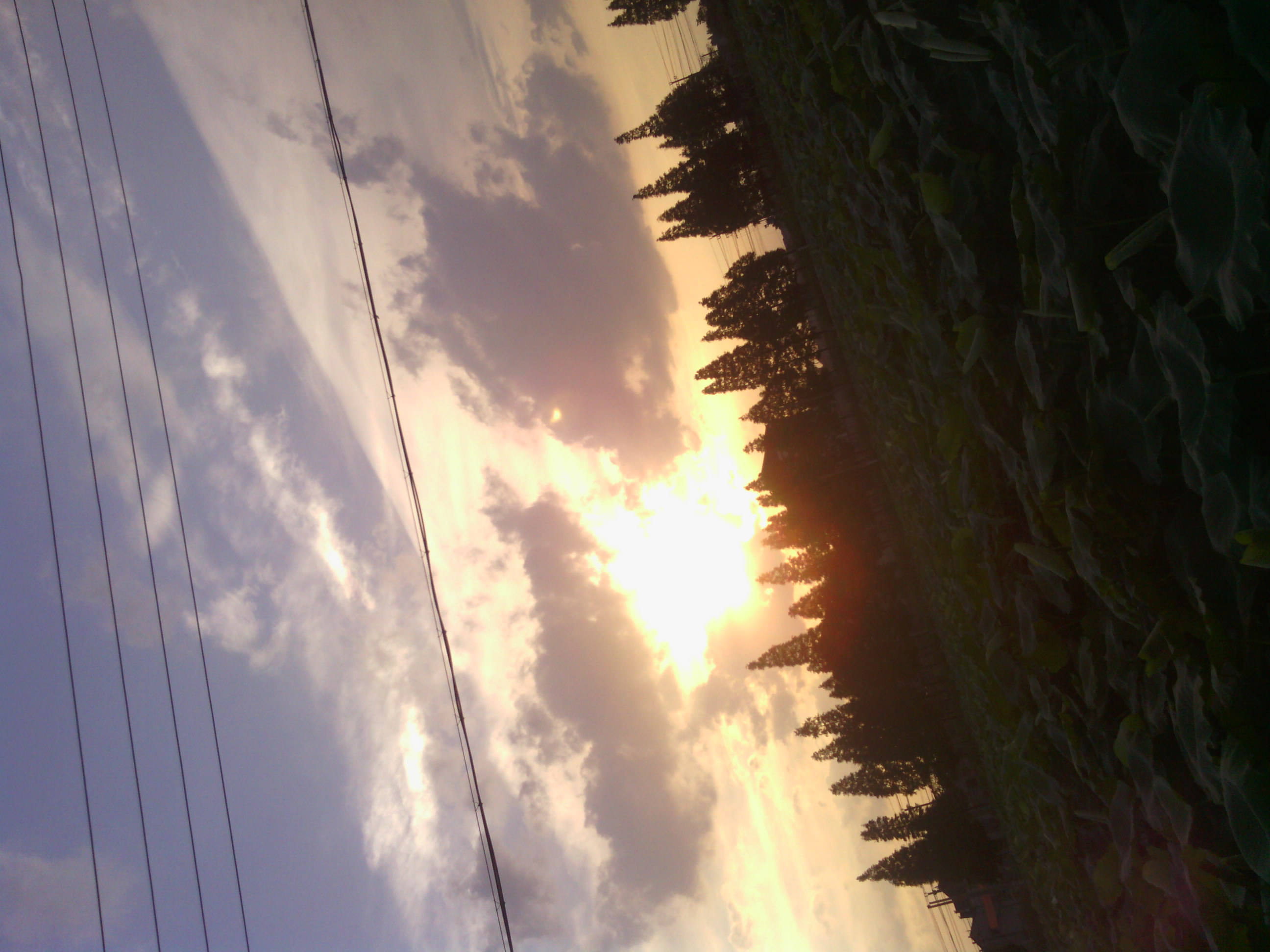 IMG_20120702_181809.jpg