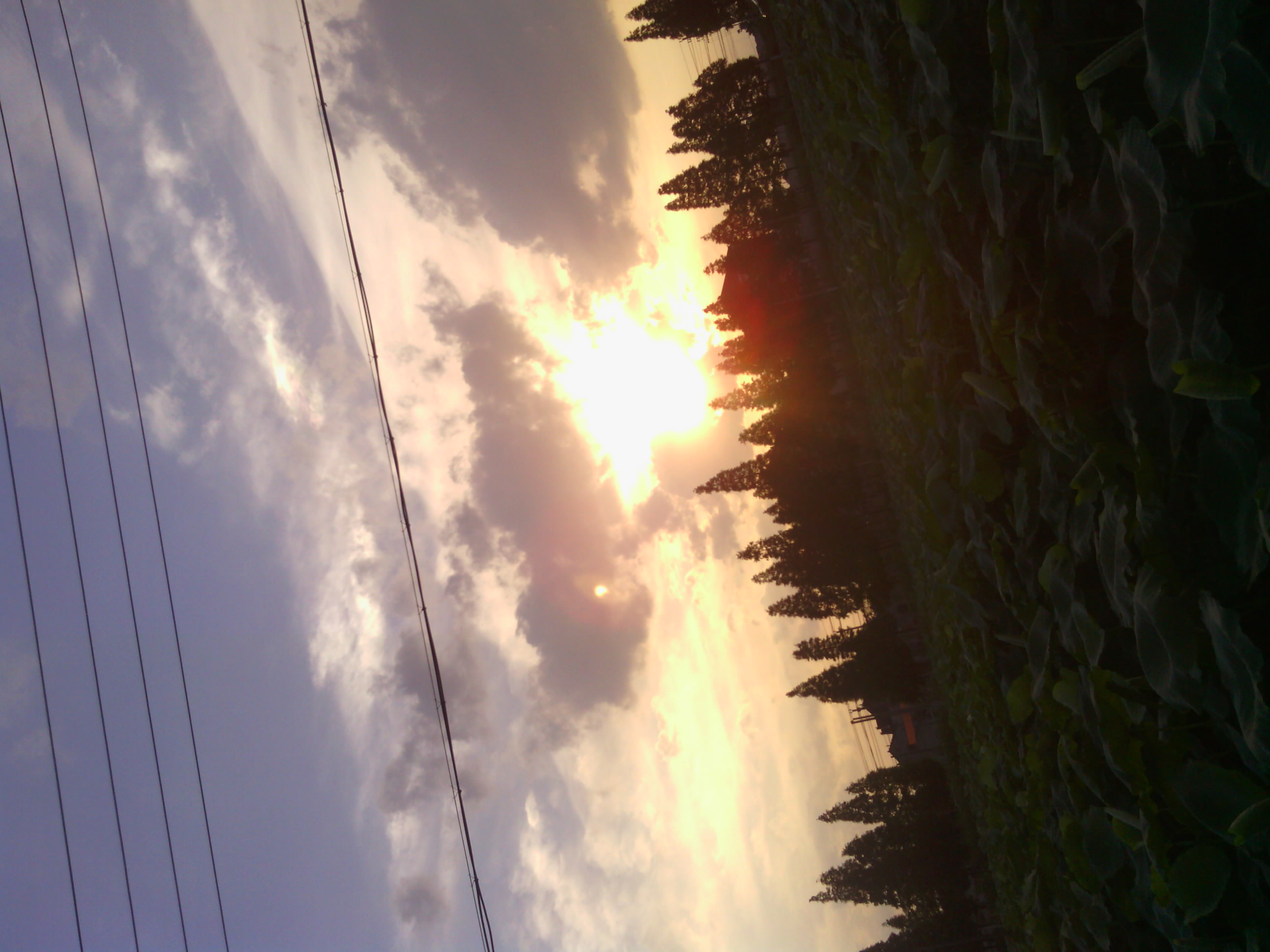 夕阳