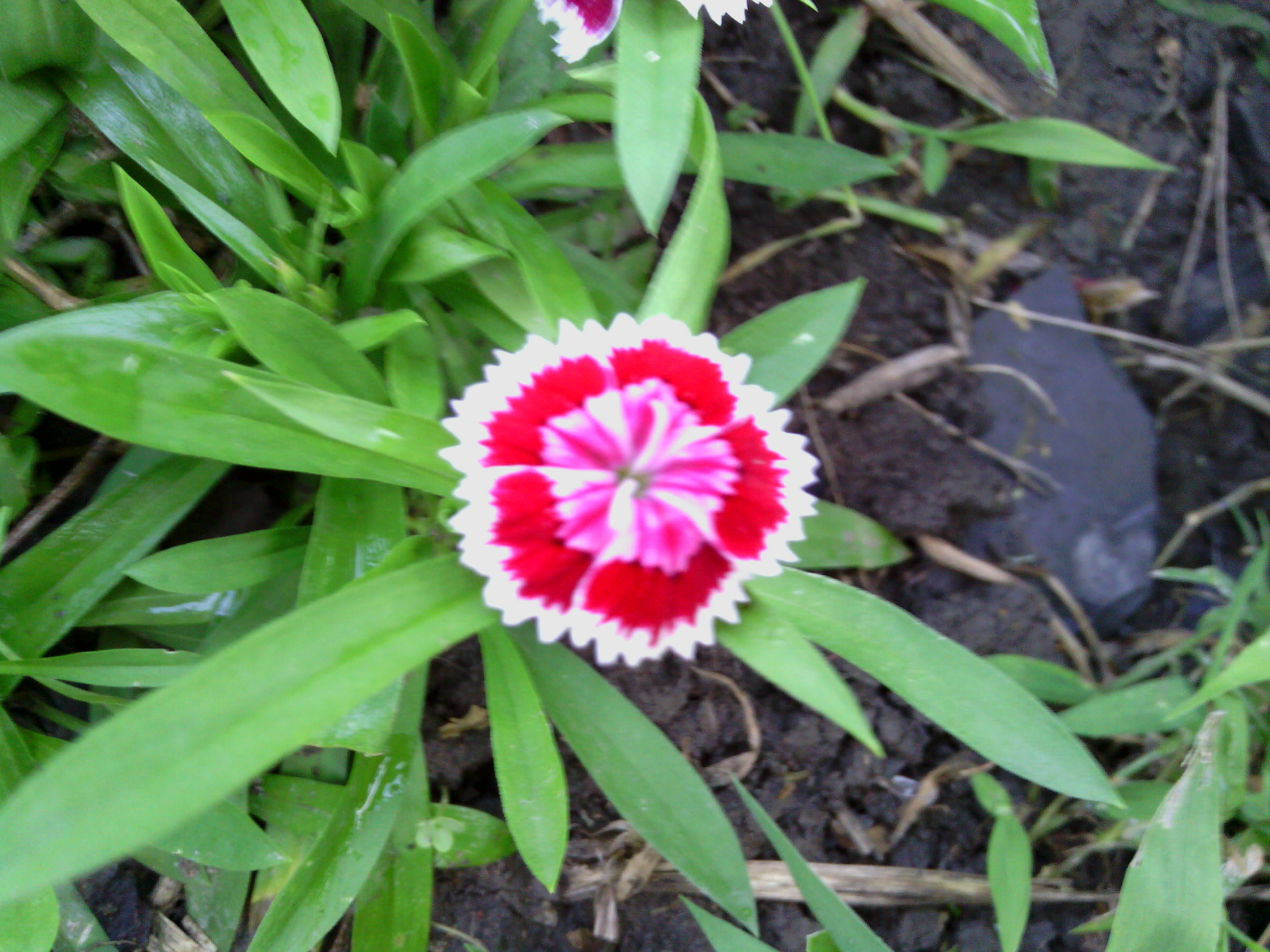 IMG_20120707_180506.jpg