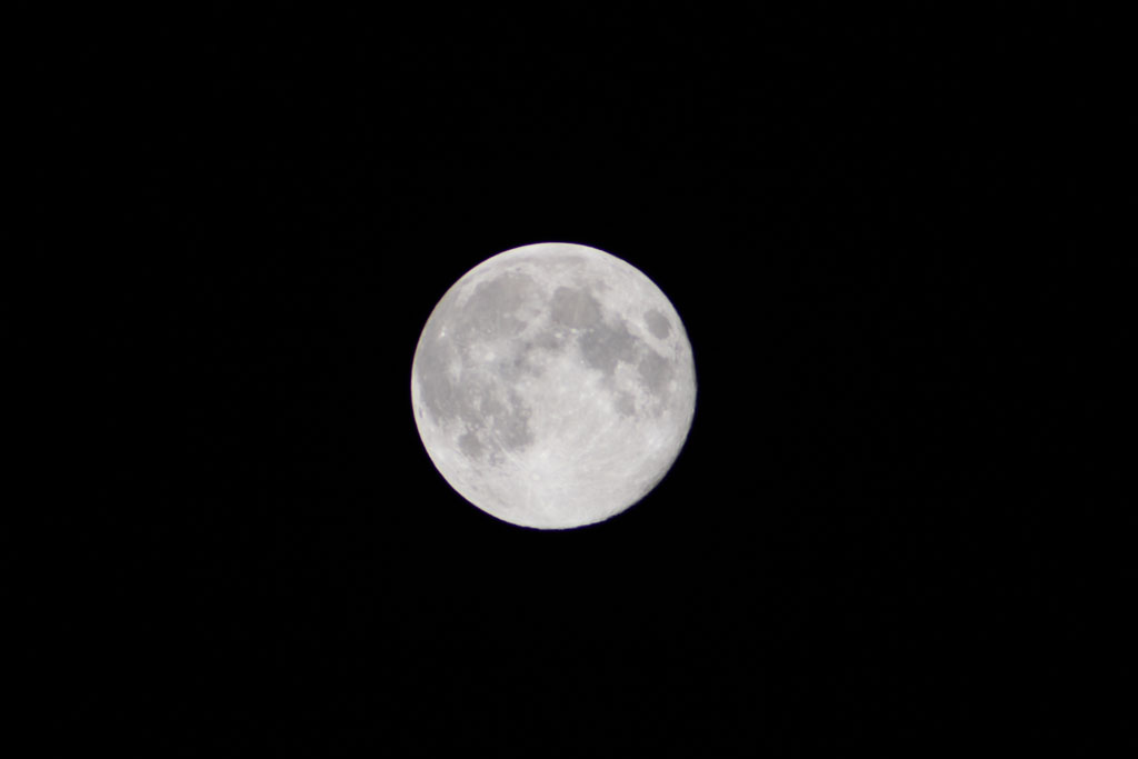 moom002.jpg