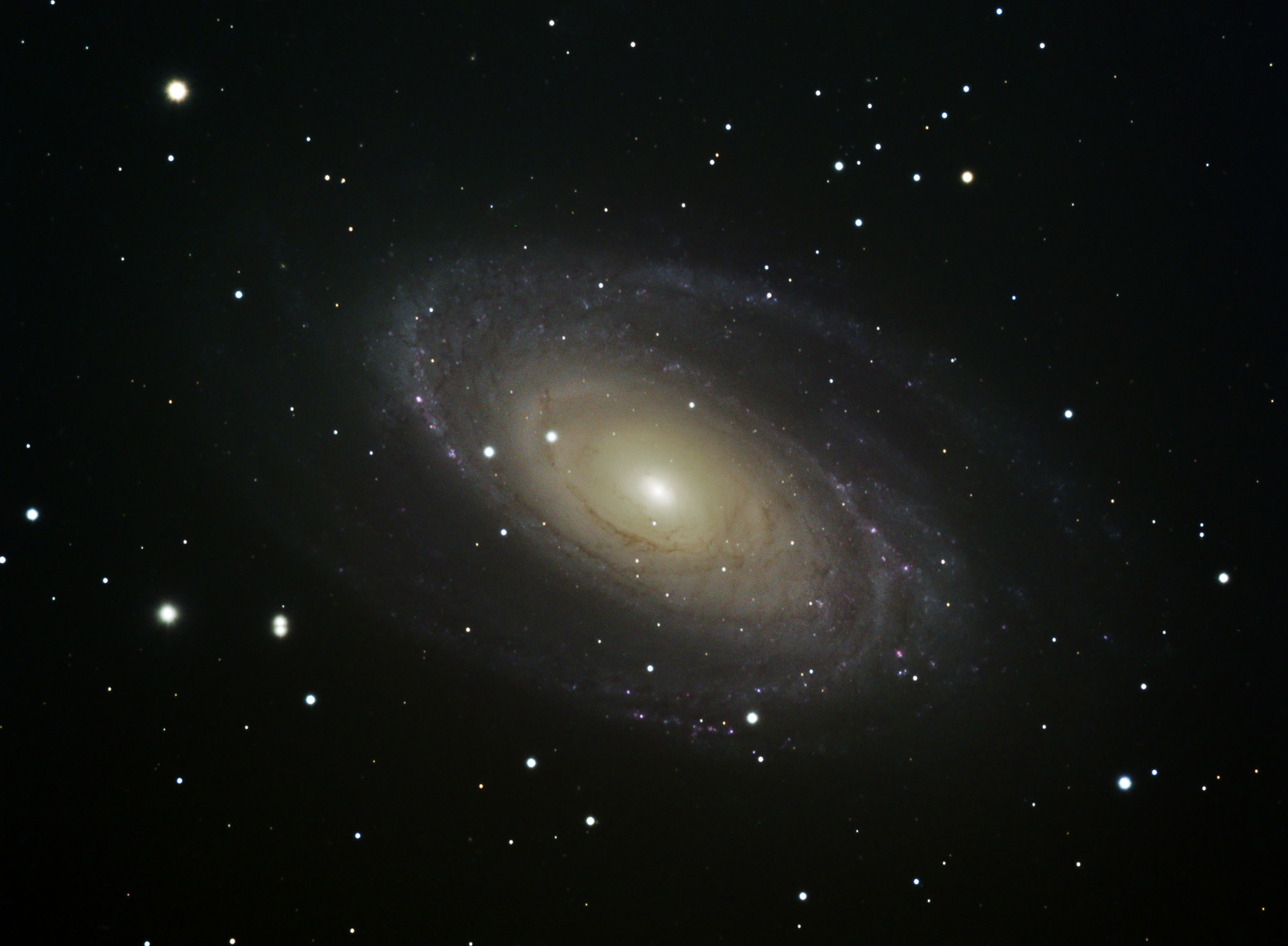 M81.jpg