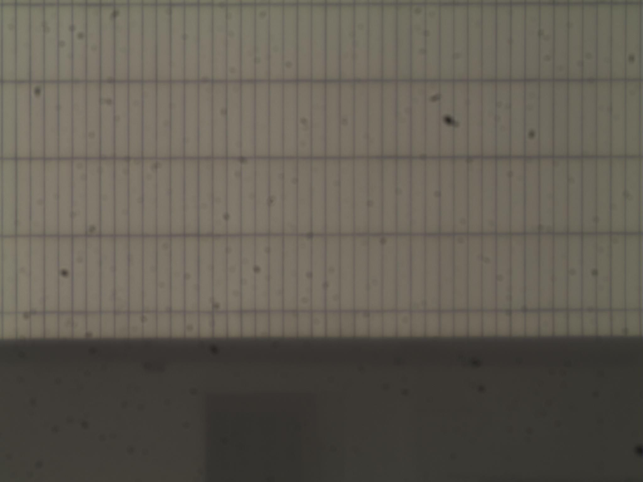 QHY5T_00051.JPG
