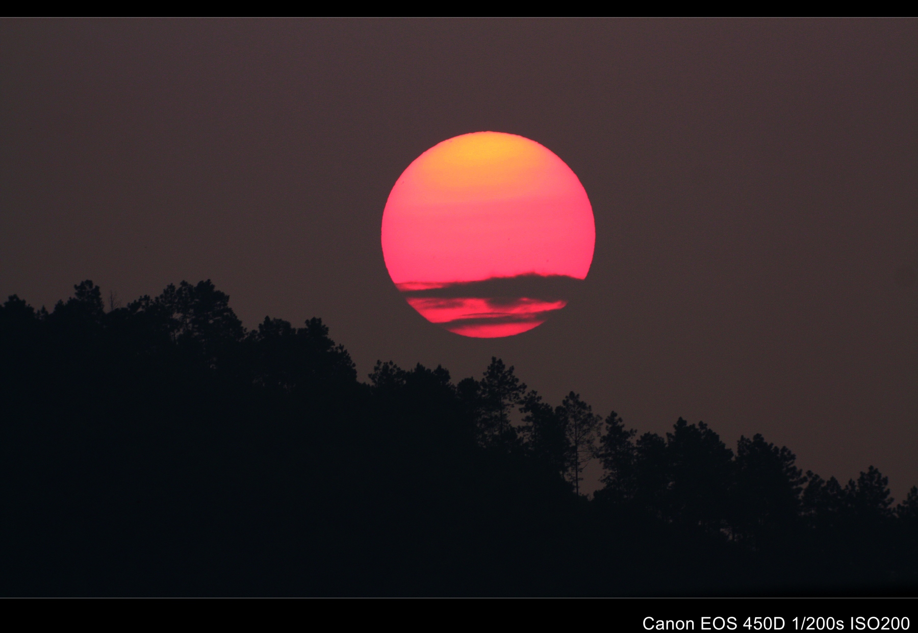 _MG_4853_conew1.jpg