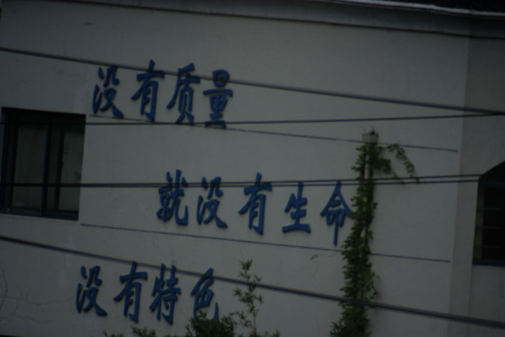 IMG_6719.jpg