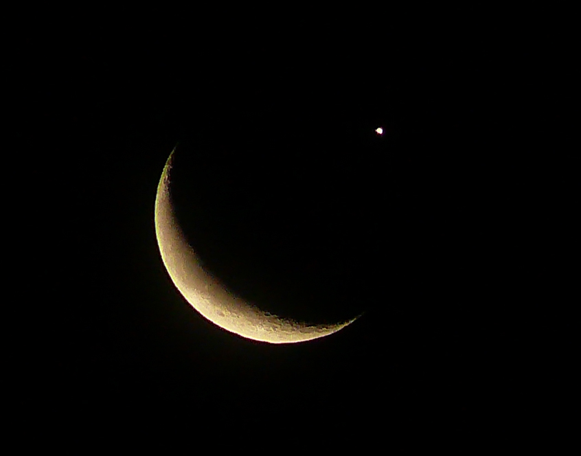 P2440937-1.jpg