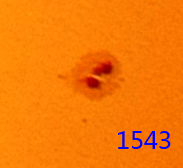 1543.jpg