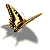 dh.gif