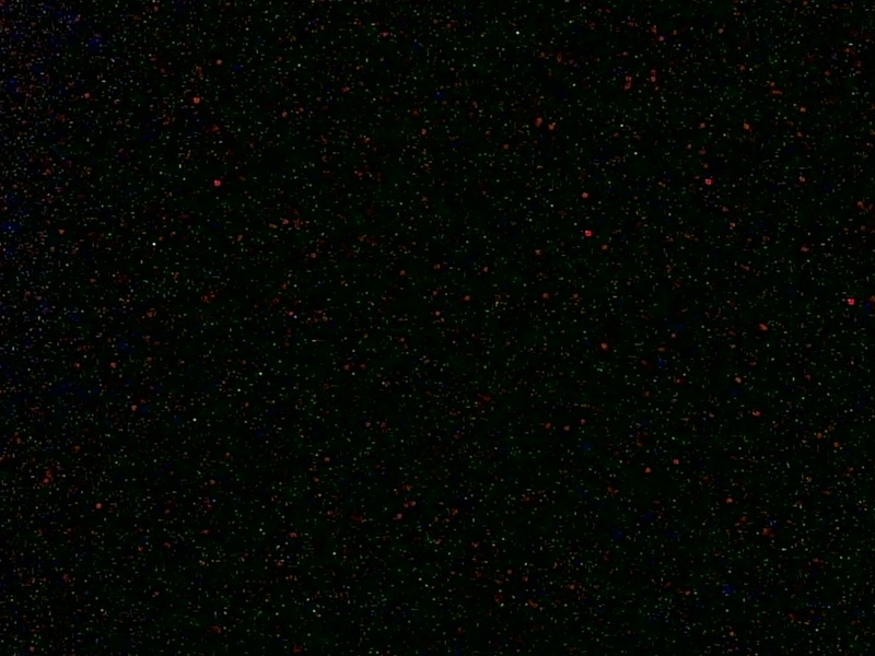 800-300.jpg