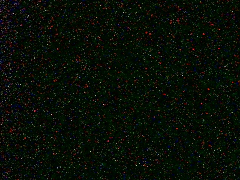 1600-300.jpg