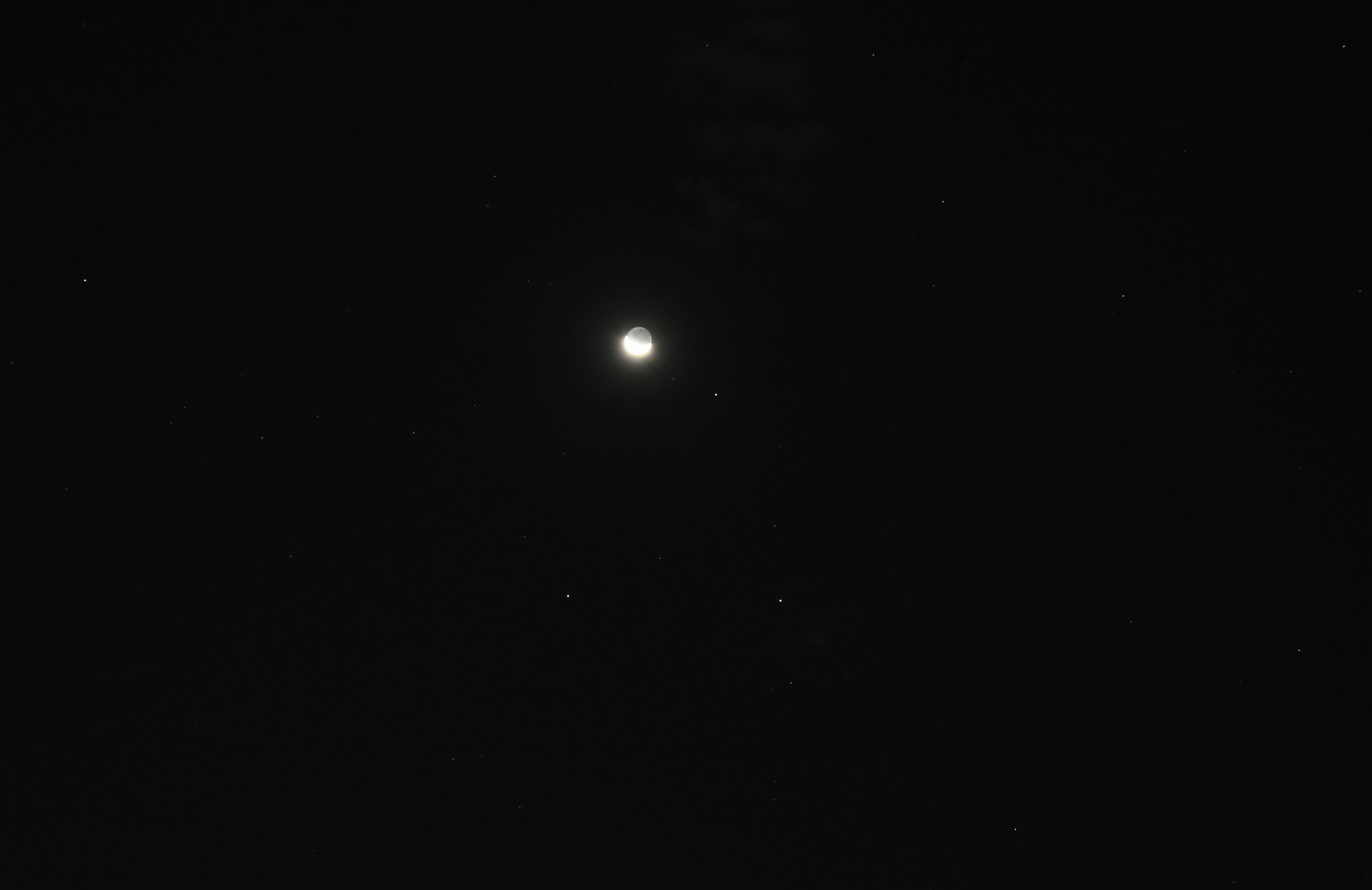 2P8A0196a.jpg