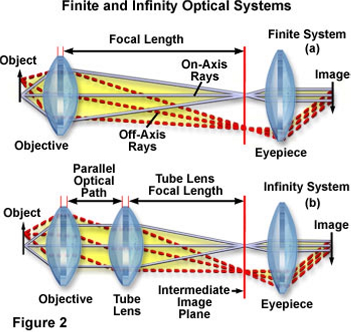 infinityfigure2.jpg