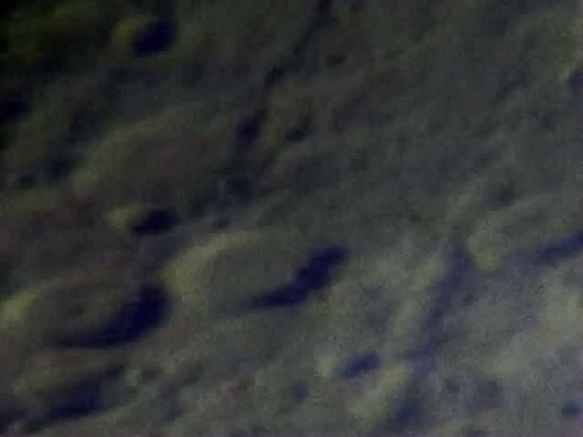 201208221693.jpg