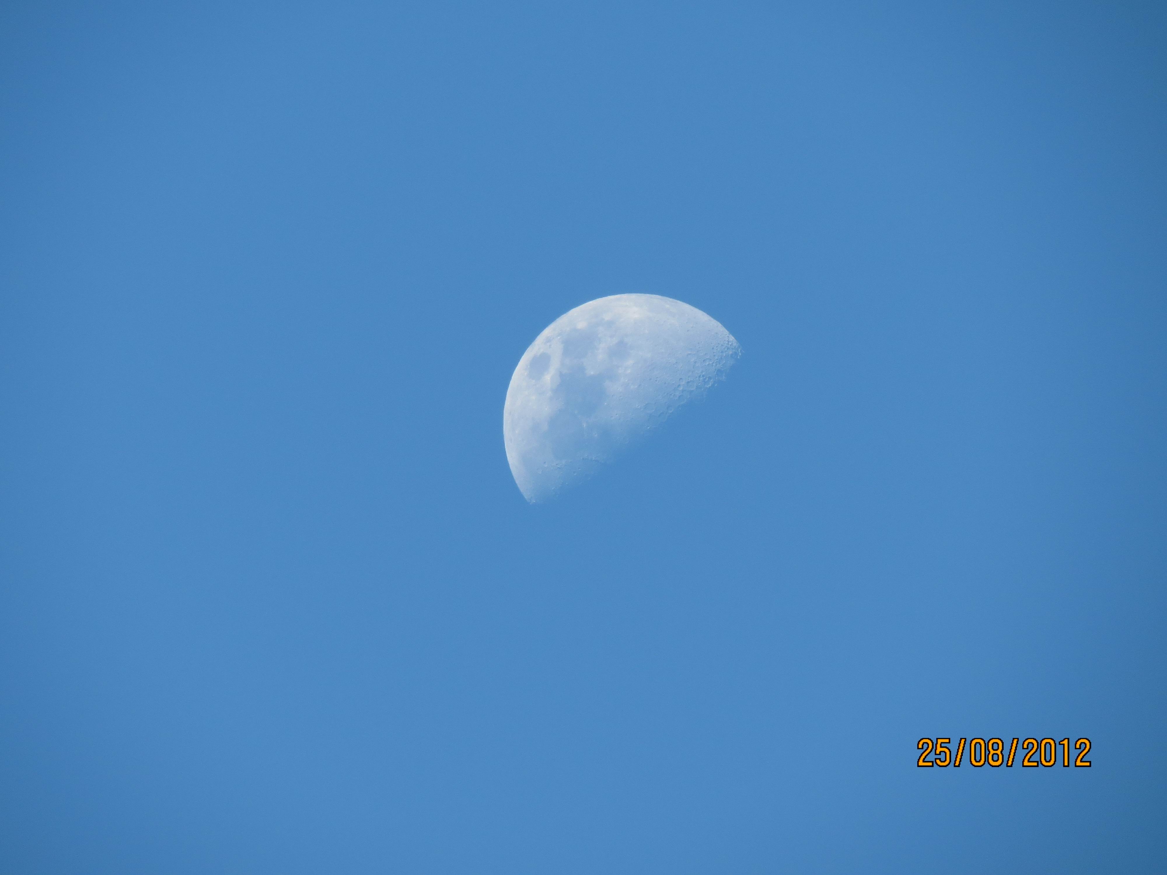 IMG_2000a.jpg