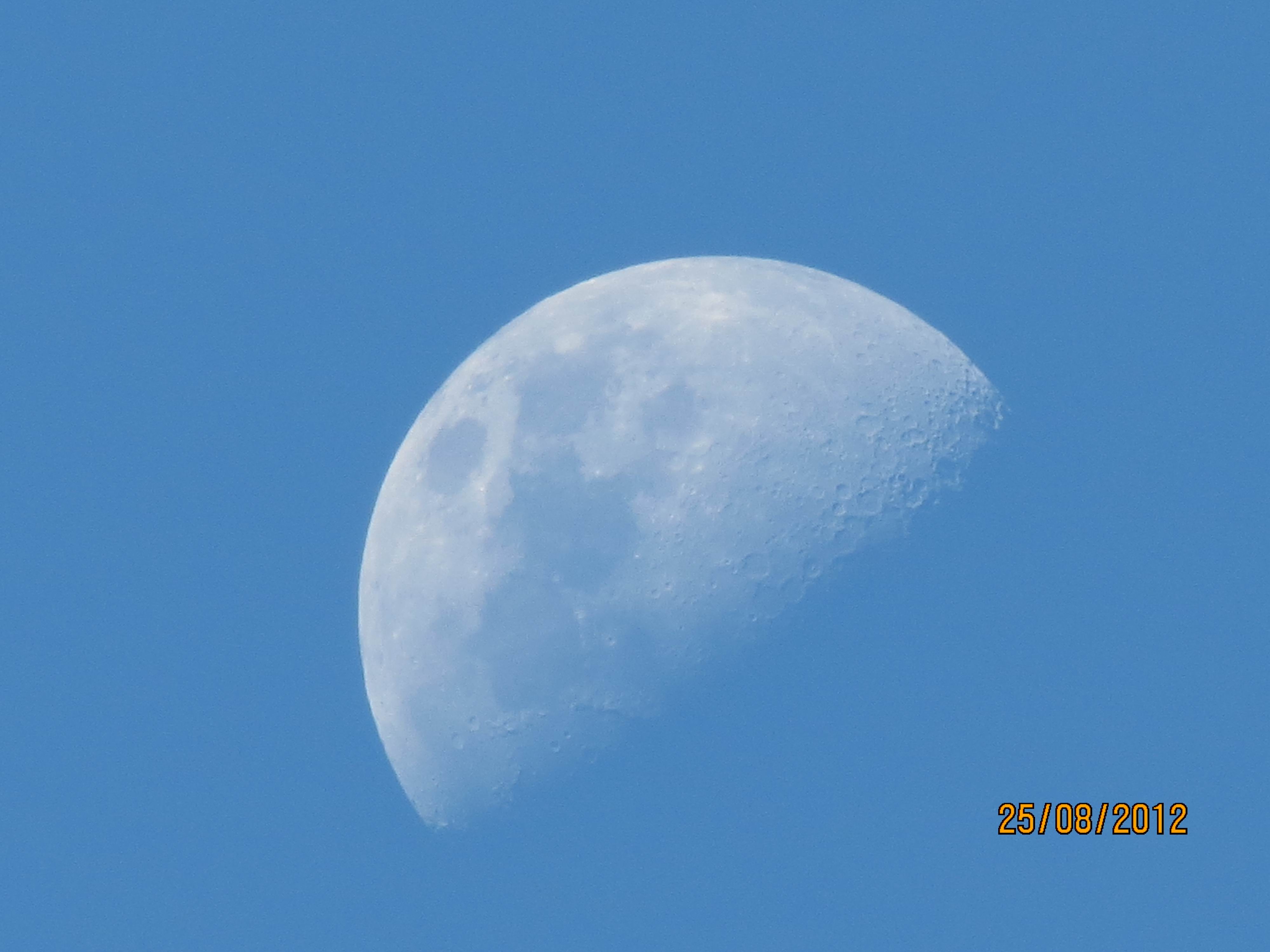 IMG_2003a.jpg