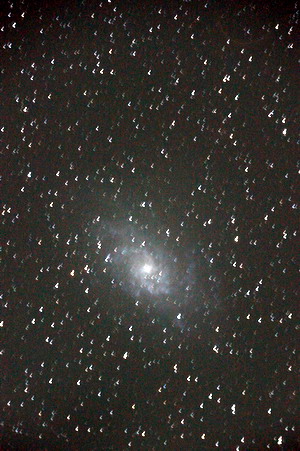 M33