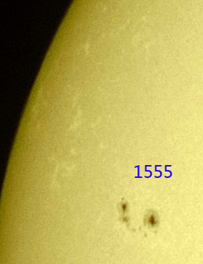 1555.jpg