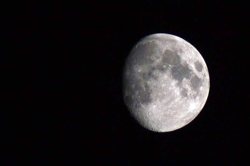 11280069.jpg