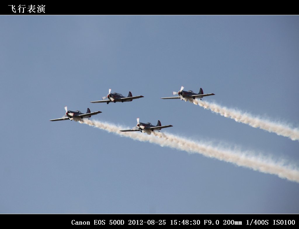32-飞行表演IMG_2484.jpg