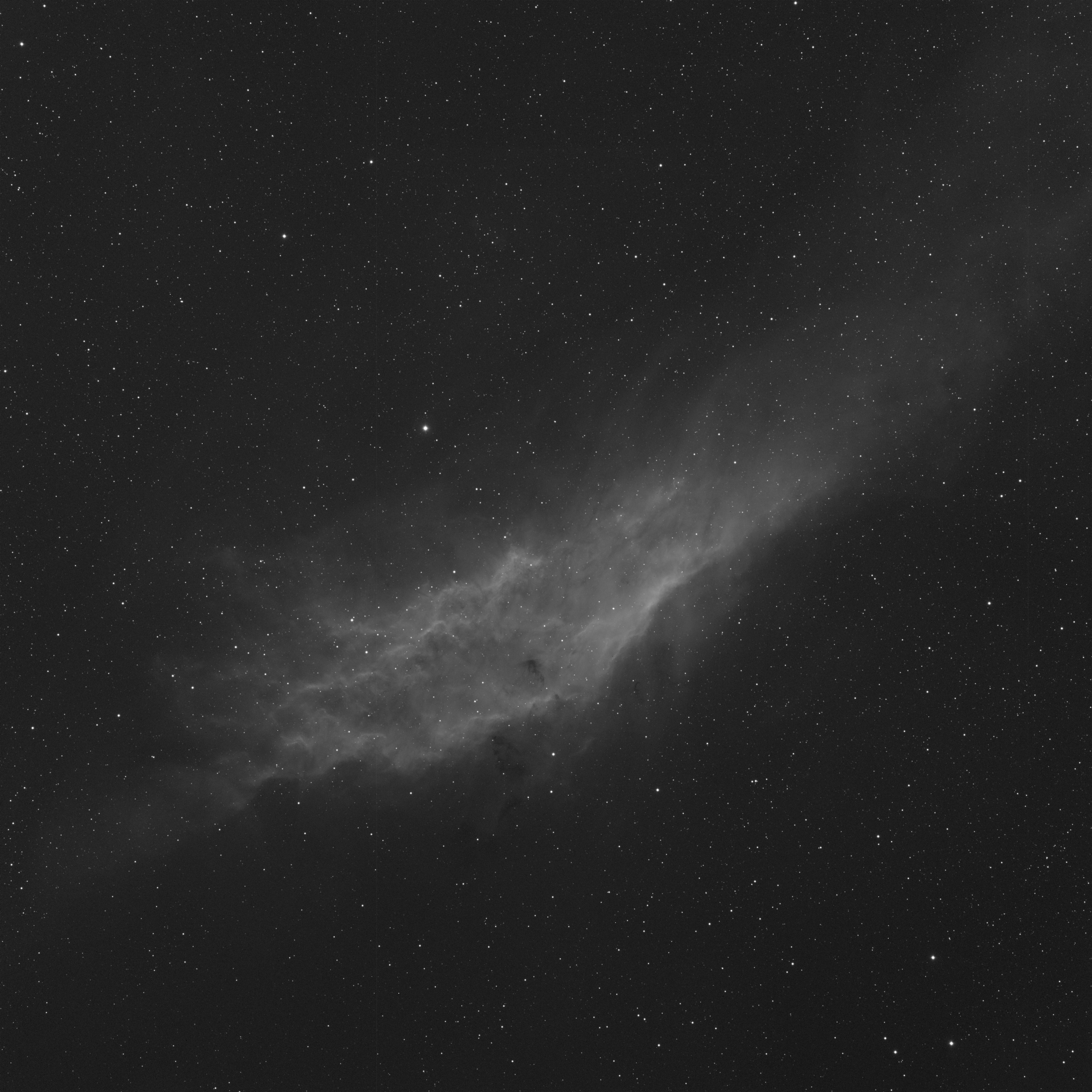 NGC 1499Ha Bin1.jpg