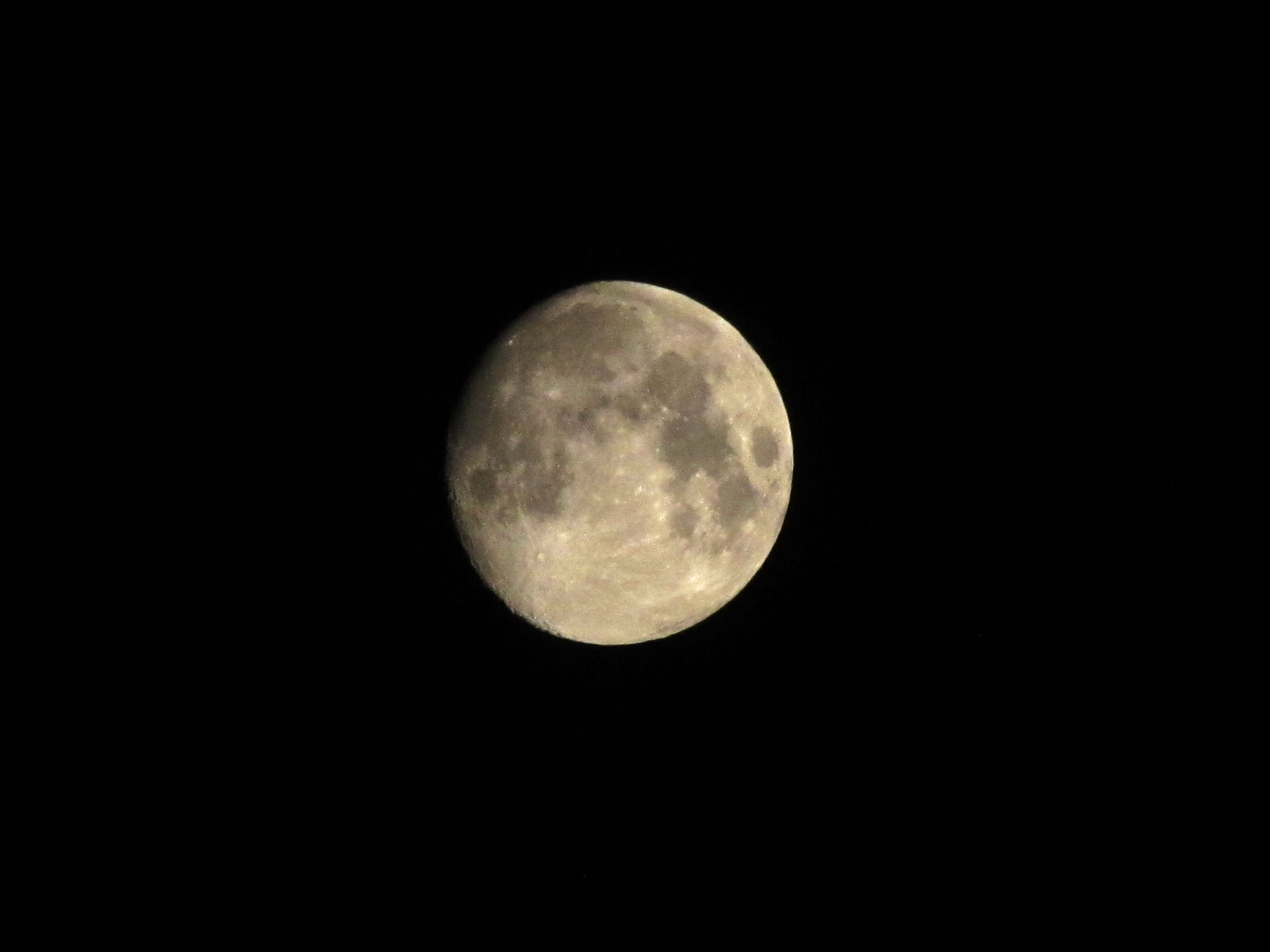 IMG_5935.jpg