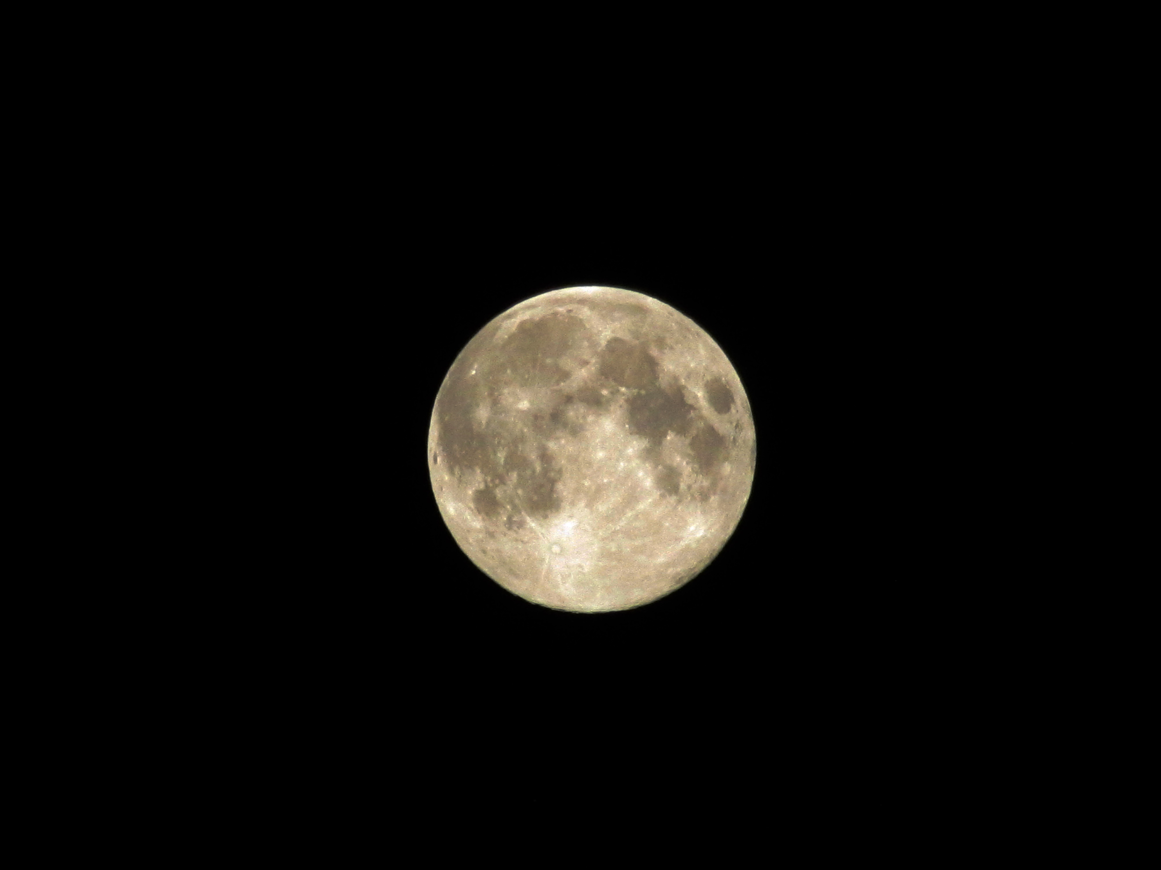 IMG_6003.jpg