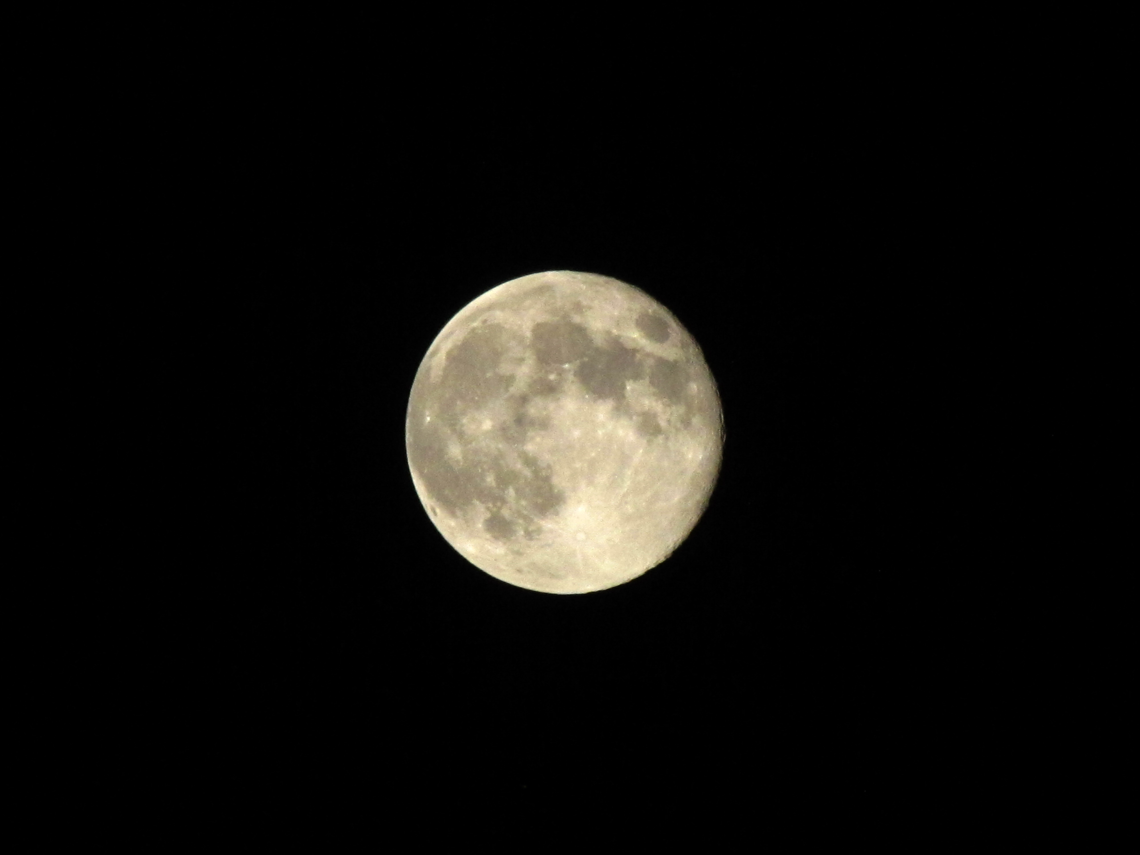 IMG_6034.jpg