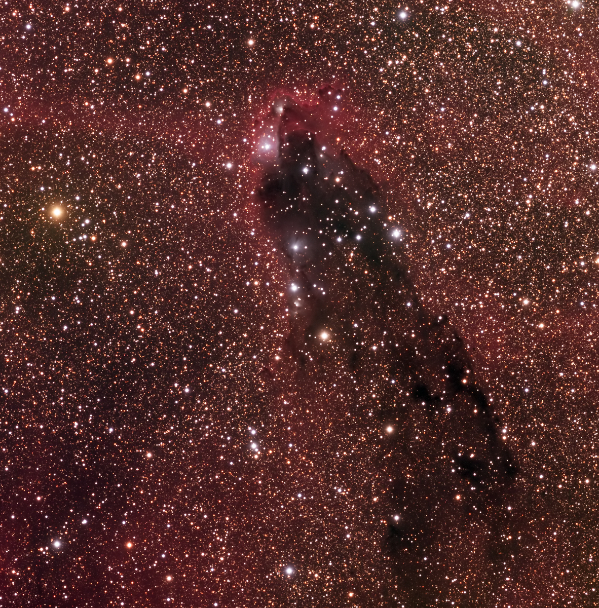 DC343.0+002.8 天蝎座暗星云