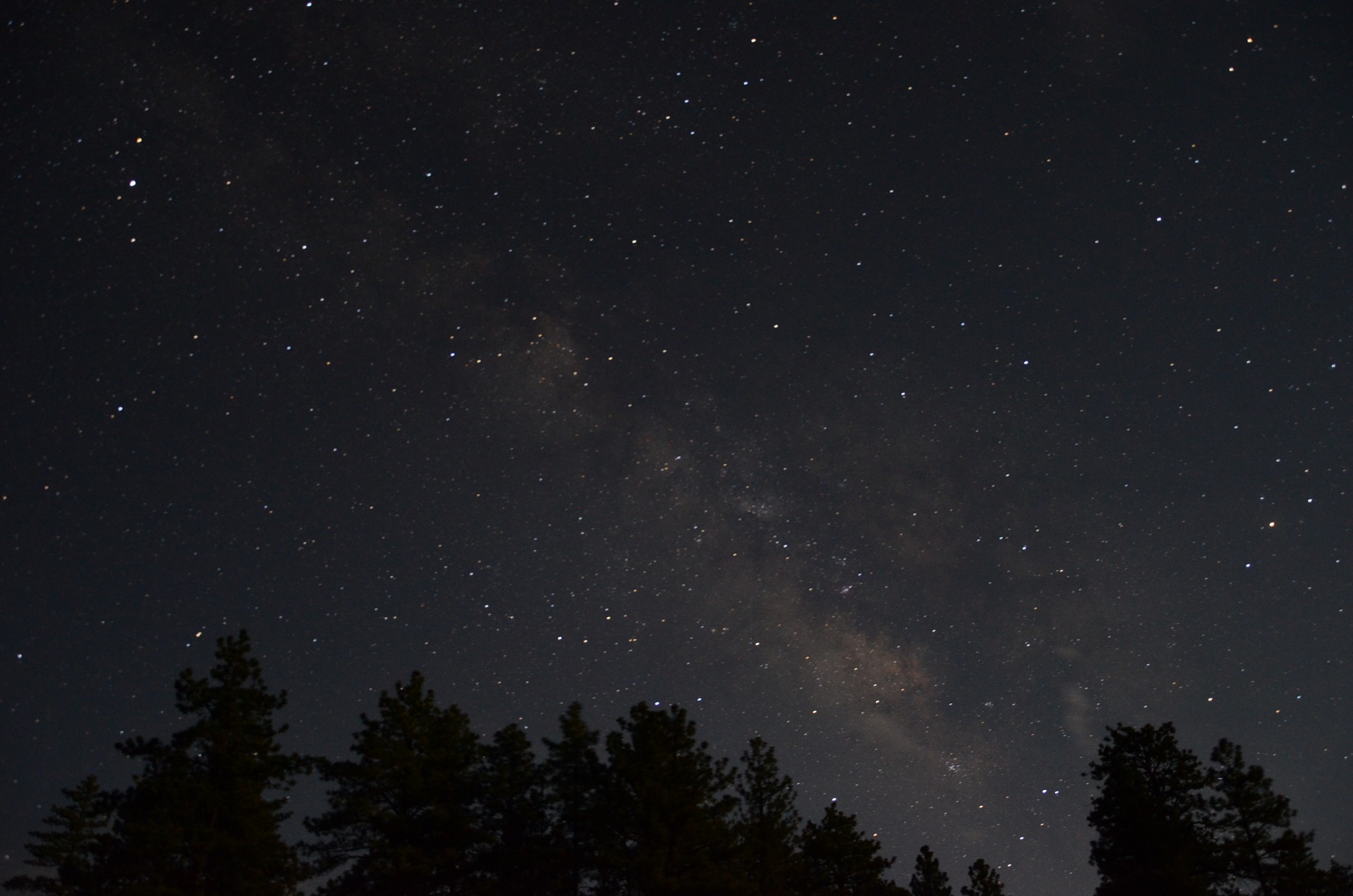 ISO1600