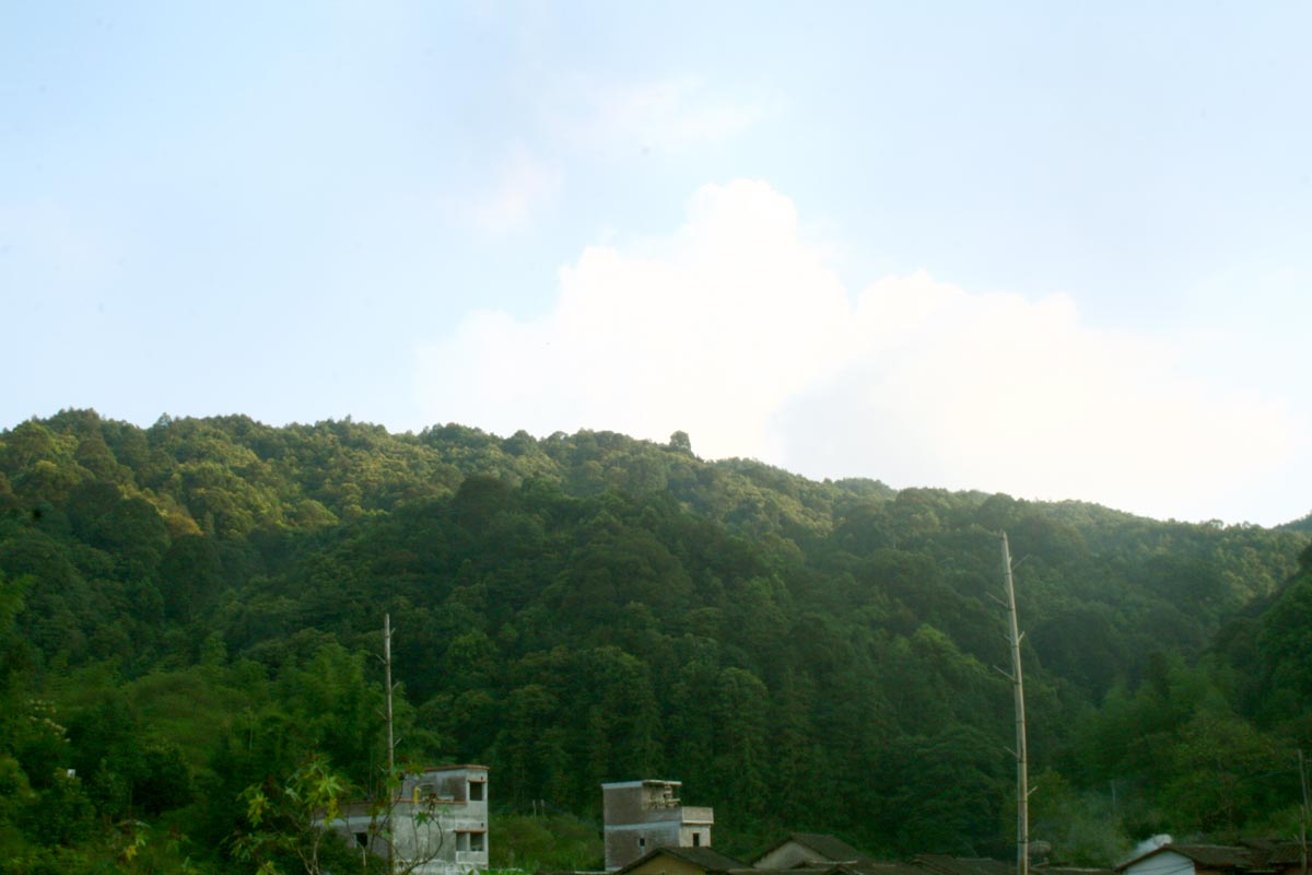 IMG_0021.jpg