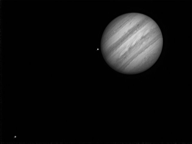 大木星黑白.jpg