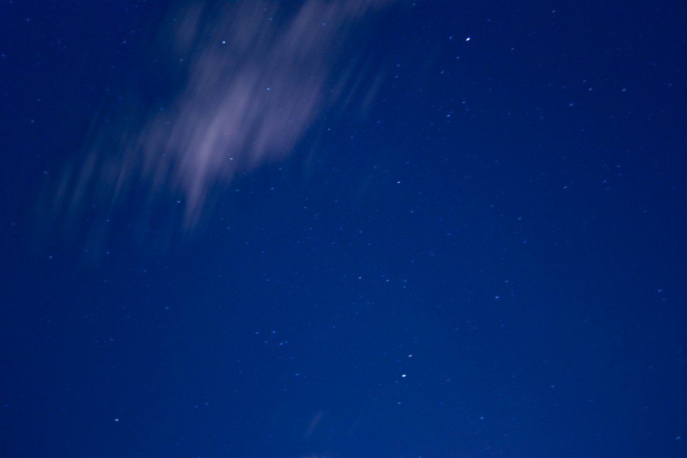 DSC_0007.jpg