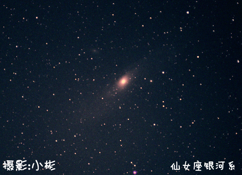 1233_副本_副本.jpg