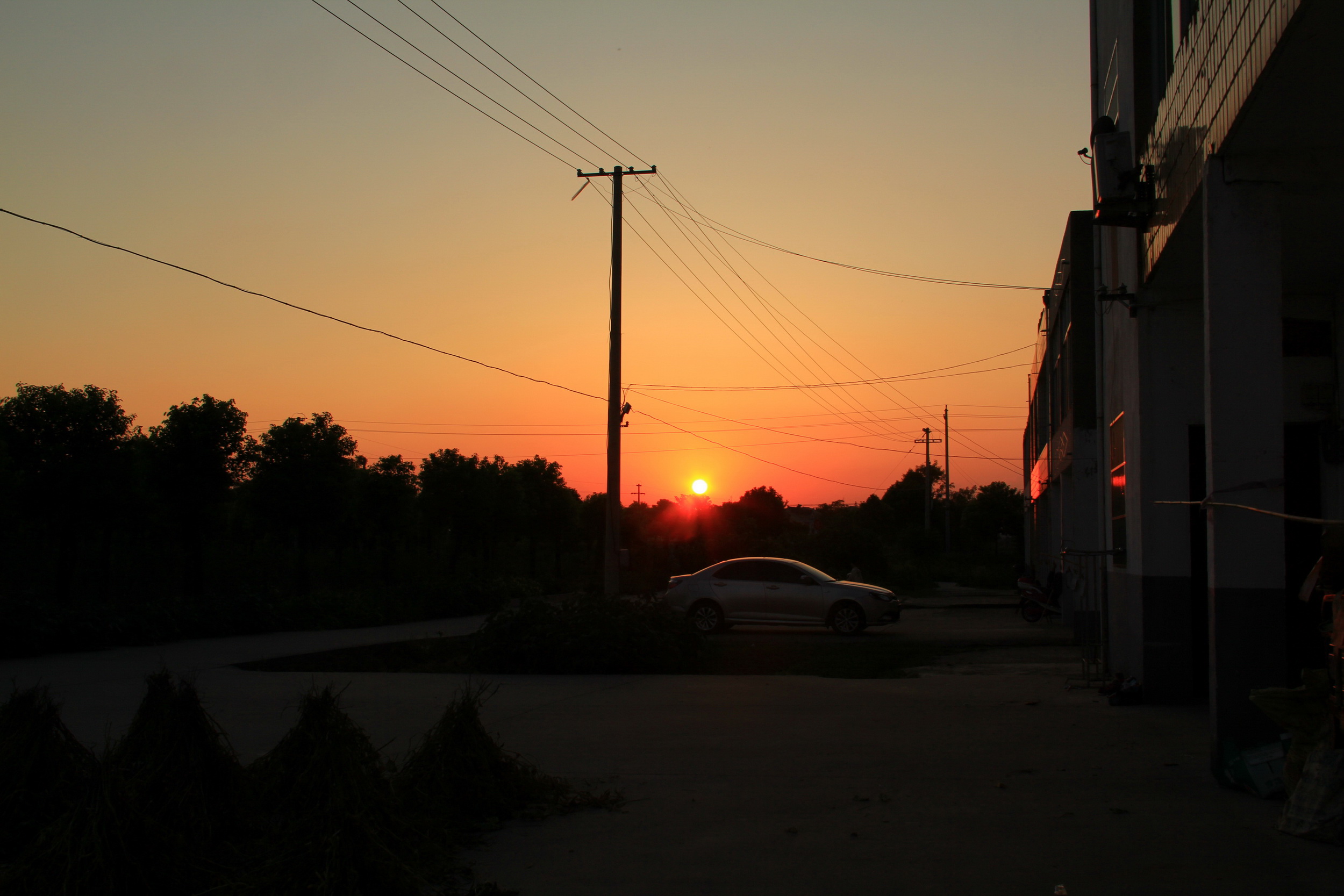 IMG_3200.jpg