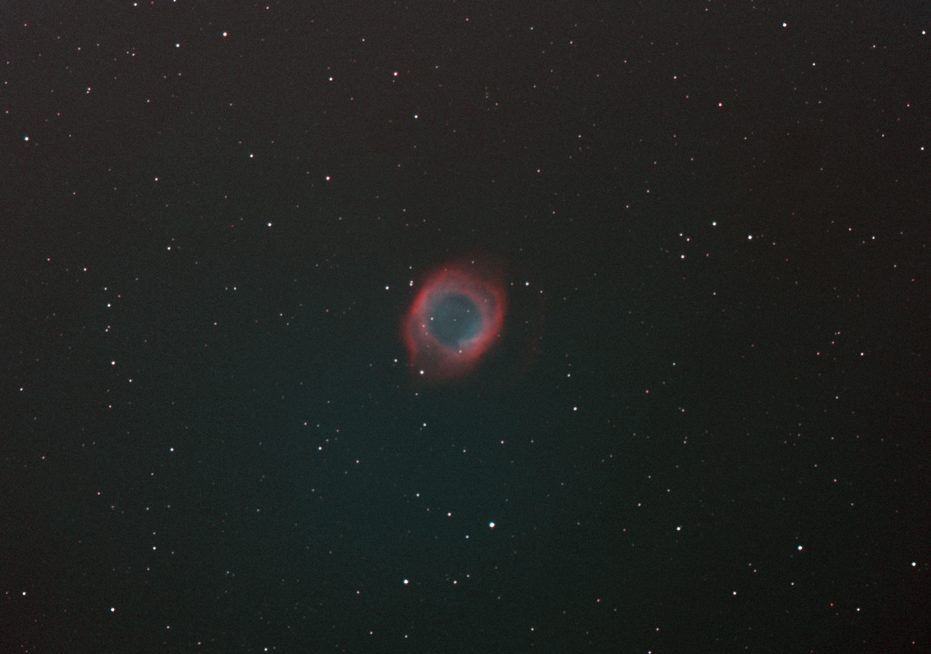 NGC7293.jpg