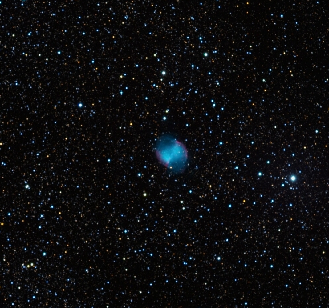 Core-L-color Scaled-crop.jpg