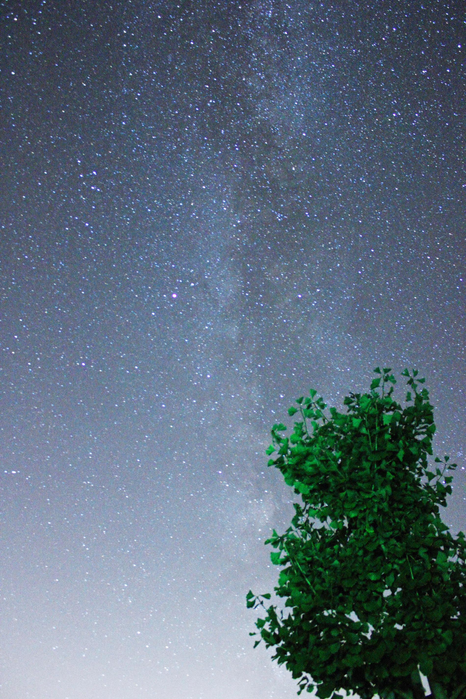 IMG_8538.jpg