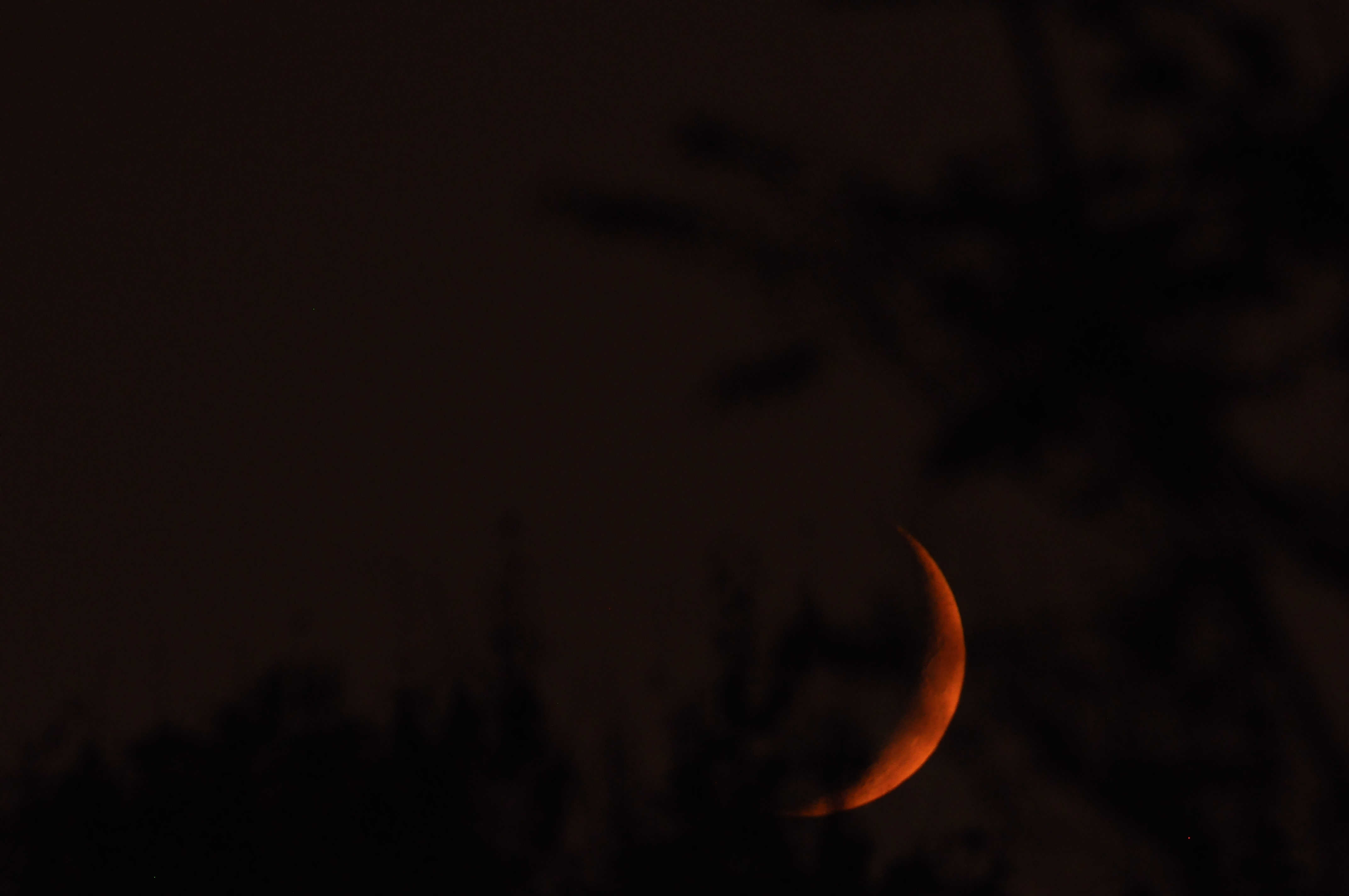 DSC_00161.jpg