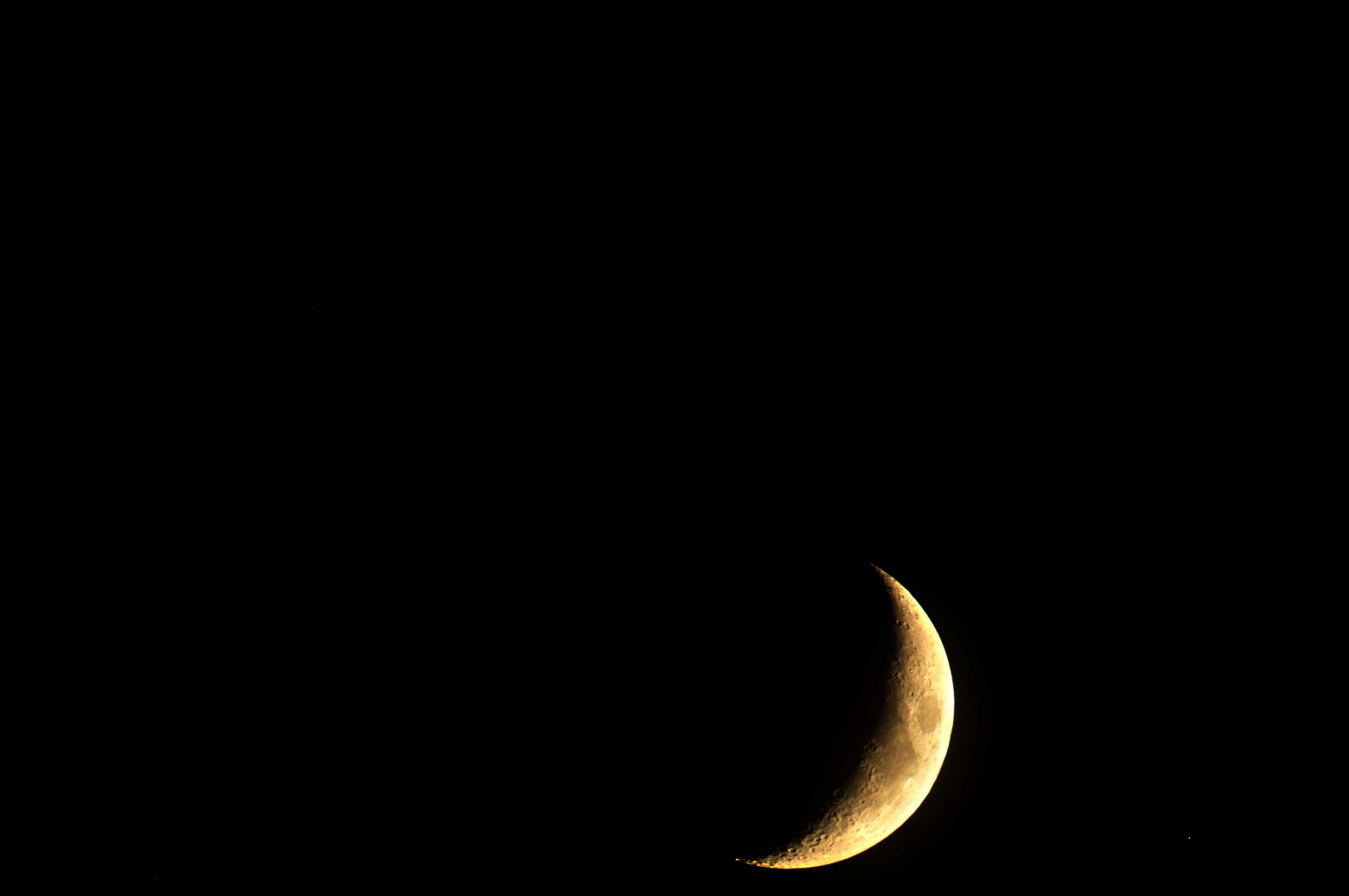 DSC_00261.jpg