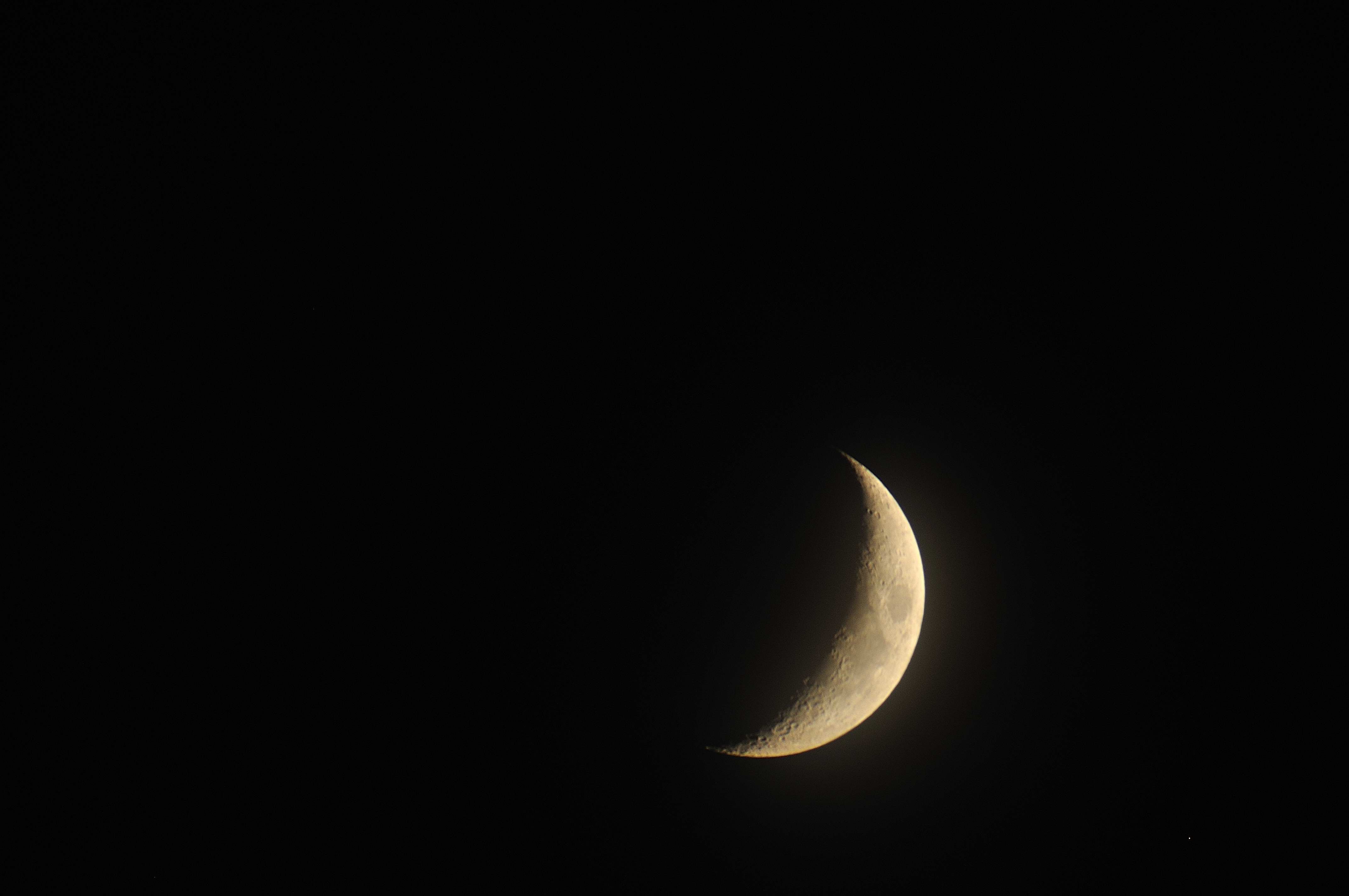 DSC_00281.jpg