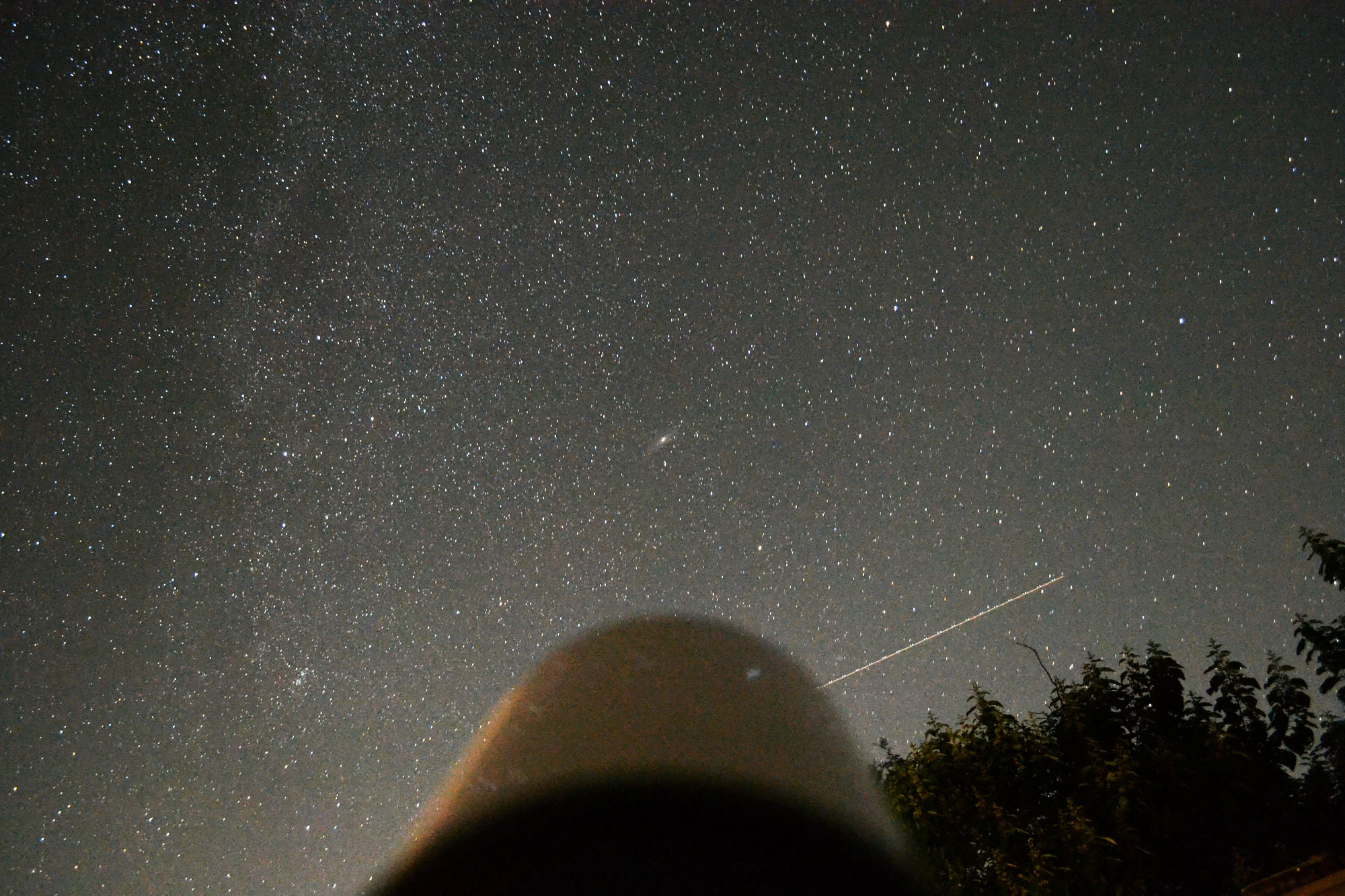 DSC_0362.jpg