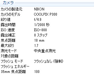 月亮参数