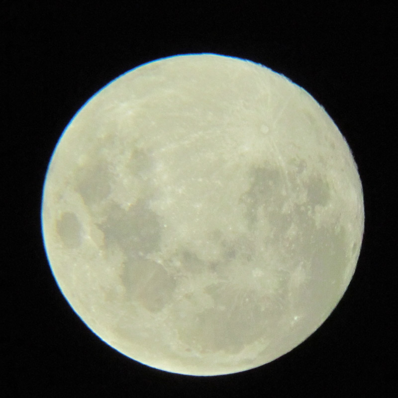 IMG_4509.JPG