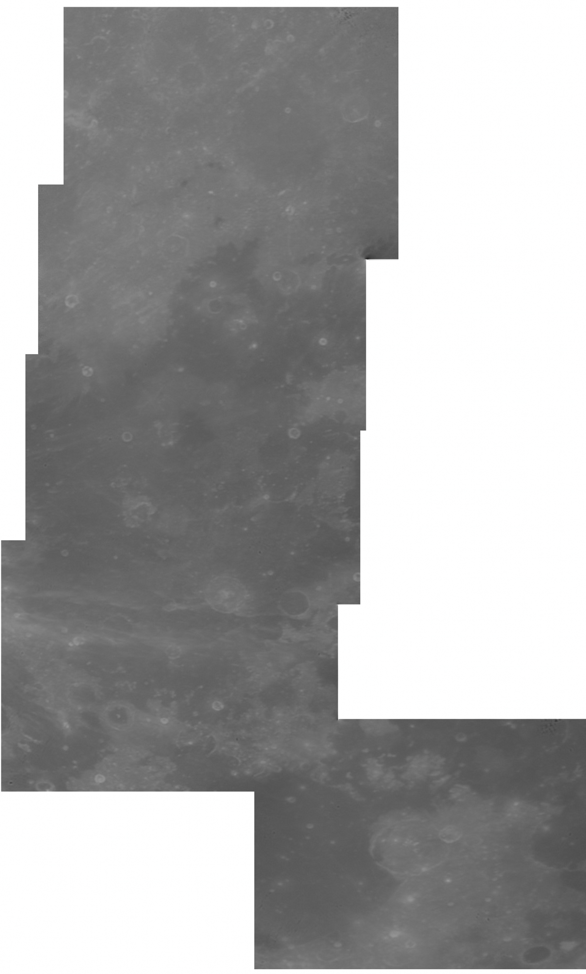 月1.jpg