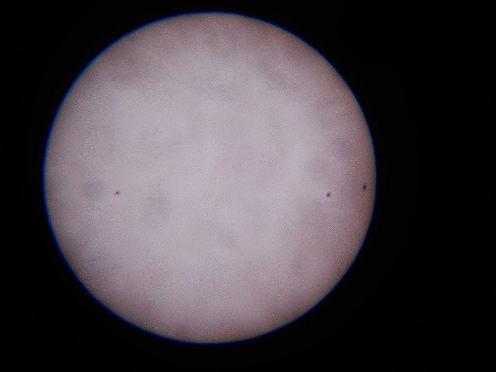 DSCN7166.jpg