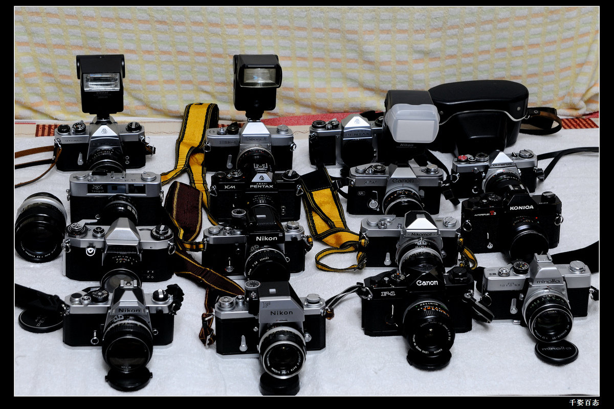 DSC_5860.jpg