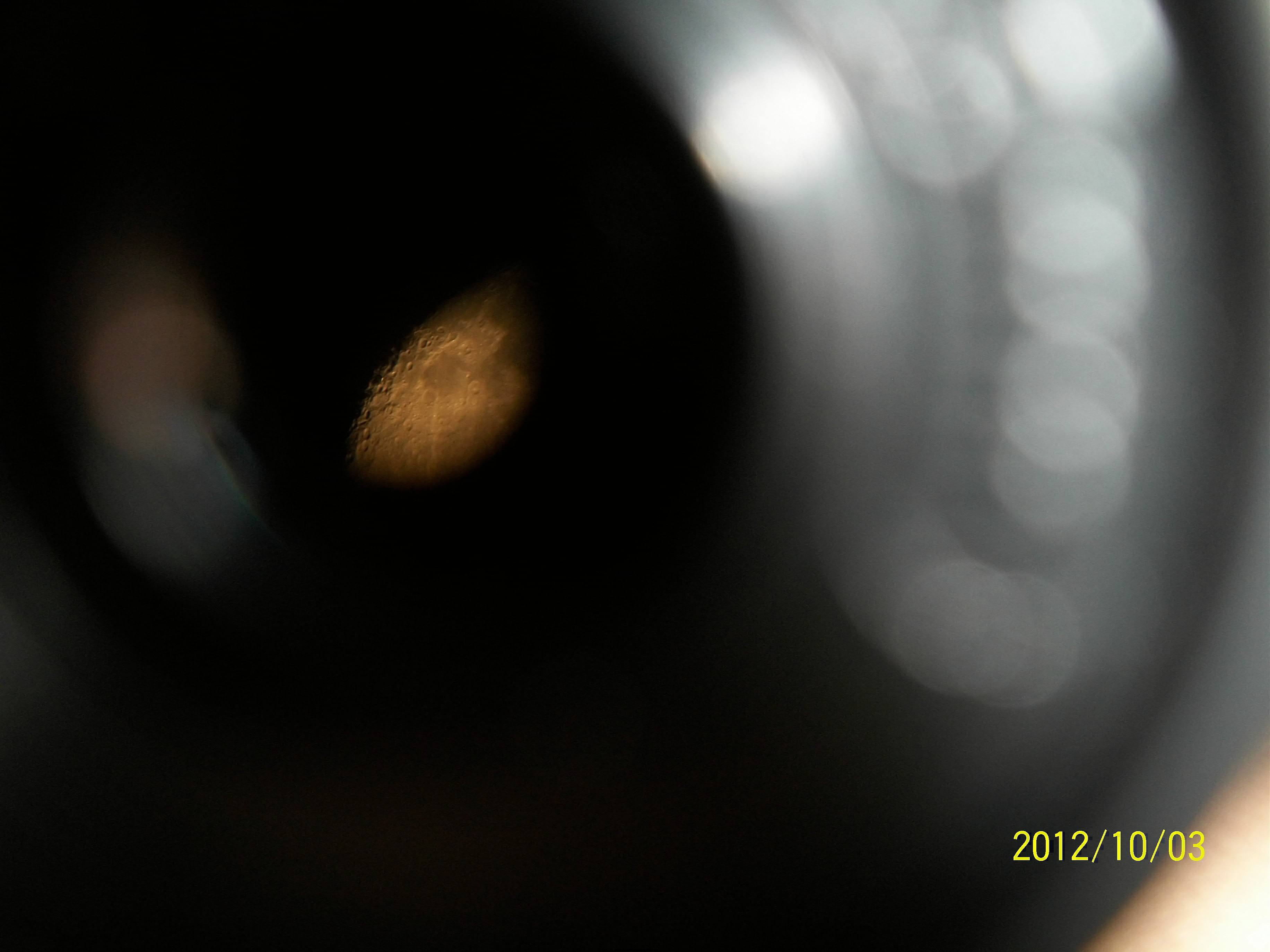 月龄18局部(01)-001.jpg