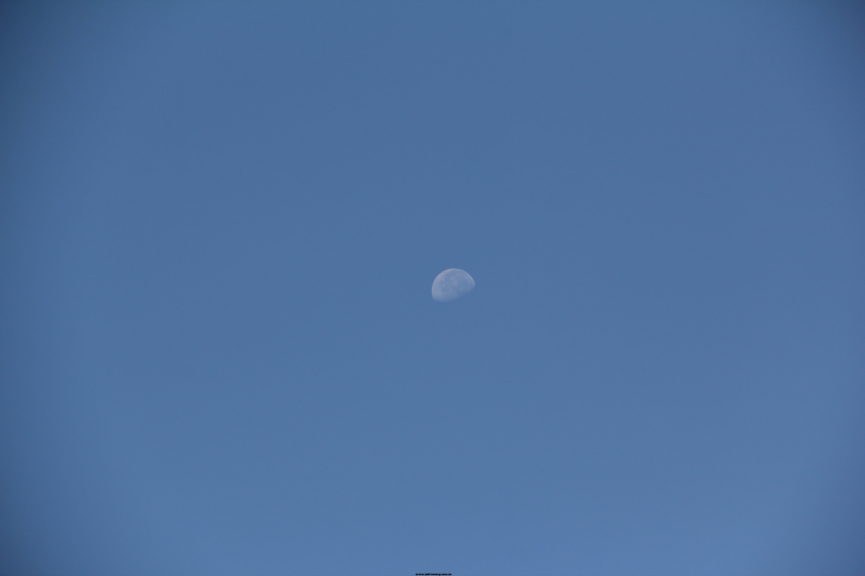 moon.jpg