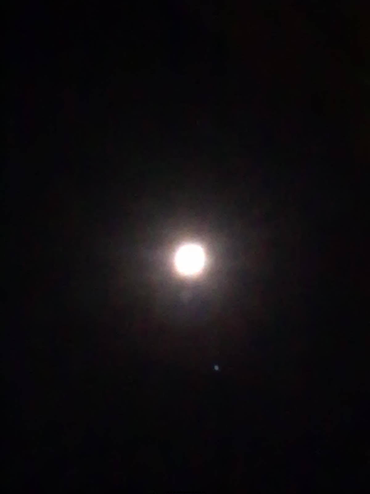 20111109824.jpg