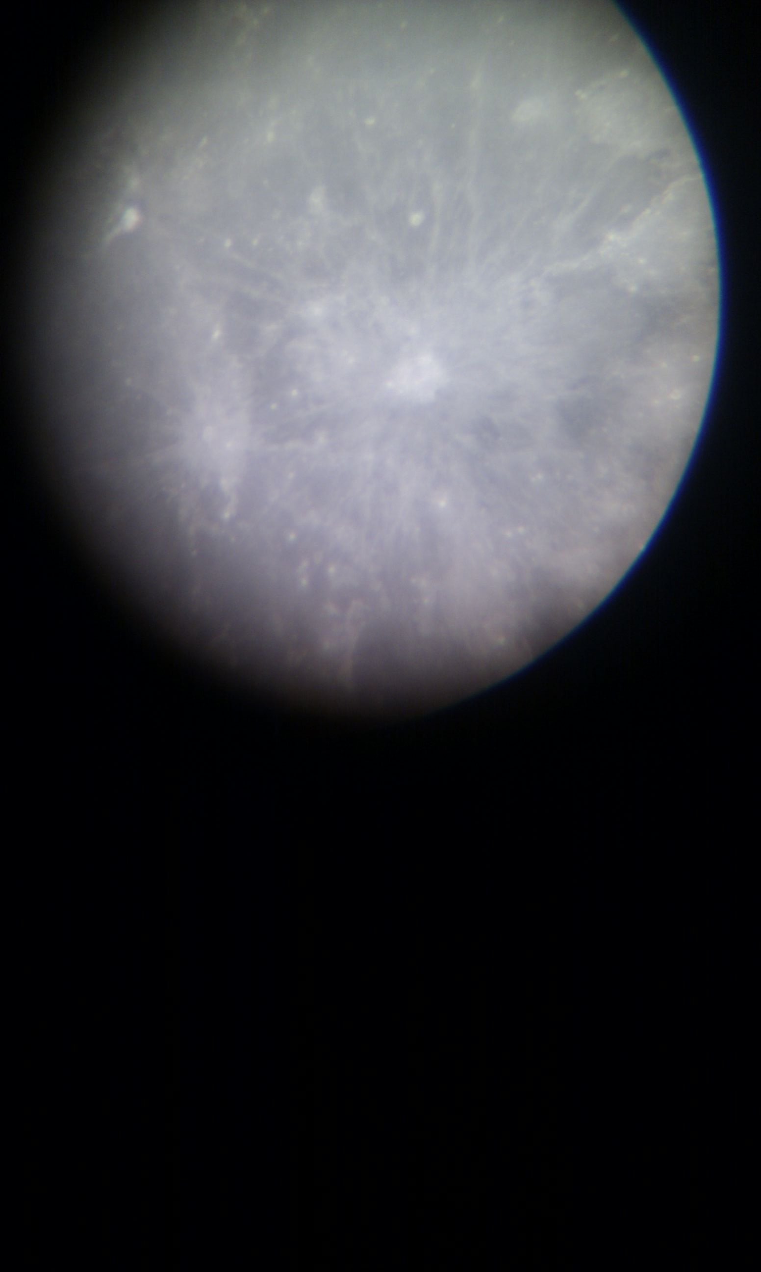 IMG_20120930_220401.jpg