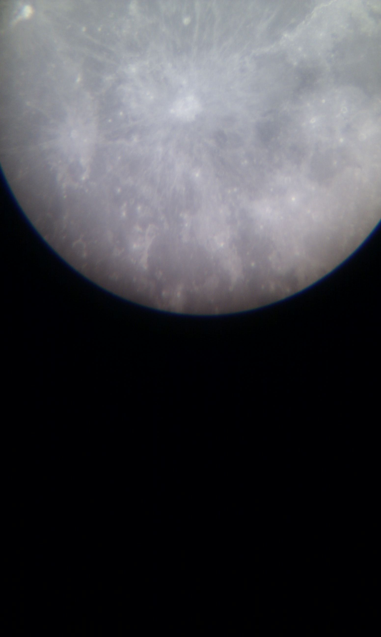 IMG_20120930_220943.jpg